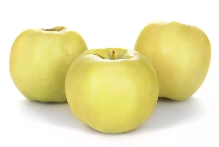 Äpfel zur Behandlung von Krampfadern