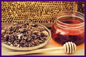 Bienenprodukte - starke Immunstimulanzien, die die Wände von Blutgefäßen mit Krampfadern stärken