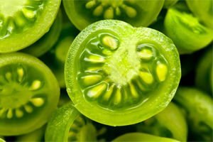 Behandlung von Krampfadern grünen Tomaten